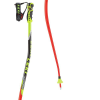 LEKI Super G/DH Ski Pole
