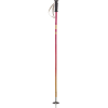 Soul Poles Vibrant Soul Ski Pole