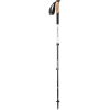 Black Diamond Alpine Carbon Trekking Pole