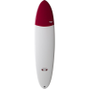 Surftech Takayama Egg Surfboard