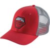 Patagonia Fitz Roy Hex Trucker Hat