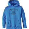 Patagonia Graphic PolyCycle Pullover Hoodie - Boys'