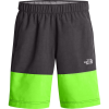The North Face Class V Water Short - Boys'