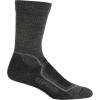 Icebreaker Hike+ Lite Cushion Crew Sock - Men's
