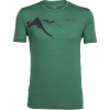 Icebreaker Tech Lite Wellington In Awe Crew - Men's
