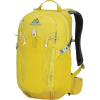 Gregory Citro 20L Backpack
