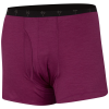 Ibex Axiom Trunk Boxer - Men's