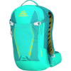 Gregory Amasa 10L Backpack - Women's