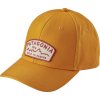 Patagonia Arched Type '73 Roger That Hat