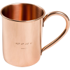United by Blue Copper Coordinates Mug