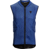 Dainese Flexagon Waistcoat - Men's