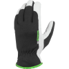Hestra Kobolt Czone Glove