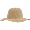Brixton Wasson Hat