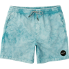 RVCA Fade Elastic Short - Men's