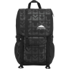 JanSport Disney Hatchet SE Backpack