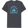 Locally Grown Mountain Sky T-Shirt - Men's