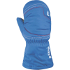 DAKINE Hornet Mitt - Toddler