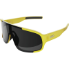 POC Aspire Sunglasses