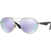 Ray-Ban RB3536 Sunglasses
