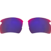 Oakley Flak 2.0 XL Prizm Replacement Lens