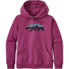 Patagonia Fitz Roy Bear Midweight Pullover Hoodie - Women's