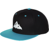 Teton Gravity Research Icon Snapback Hat