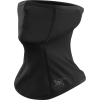 Arc'teryx Phase AR Neck Gaitor