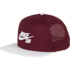 Nike SB Aero Pro Cap
