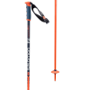 Salomon Arctic S3 Ski Pole
