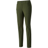 Mountain Hardwear AP Skinny Pant - Women's