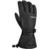 DAKINE Leather Titan Gore-Tex Glove - Men's