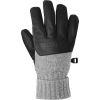 The North Face Cryos Leather Glove