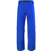 Salomon Fantasy Pant - Men's