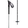 Black Diamond Expedition 2 Ski Pole