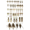 Umpqua Northern Rockies Trout Selections