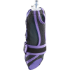 Salomon Pulse Handheld Water Bottle