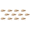 Montana Fly Company Cat Vomit - 12 Pack