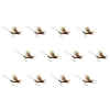Montana Fly Company Galloup's Brown Drake - 12 Pack