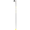 LEKI Speed Carbon Ski Pole