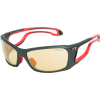 Julbo Pipeline Zebra Antifog Photochromic Sunglasses