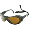 Julbo Explorer Sunglasses - Alti Arc 4 Lens
