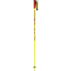Line Dart Ski Pole