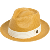 Goorin Brothers Snare Fedora