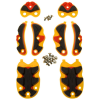 Sidi SRS Dragon Pred-Carbon Soles