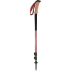 Black Diamond Trail Ergo Cork Trekking Pole