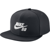 Nike SB Icon Pro Snapback Hat