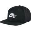 Nike SB Aero Pro Cap