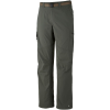 Columbia Silver Ridge Cargo Pant - Men's