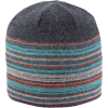 Pistil Flint Beanie