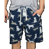 Labs | Men's Pajama Shorts (XS)
